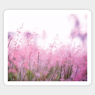 Pink summer field Sticker